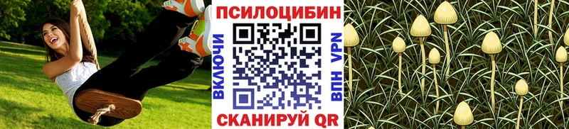 ссылка на мегу ONION  где купить наркотик  Черняховск  Галлюциногенные грибы прущие грибы 
